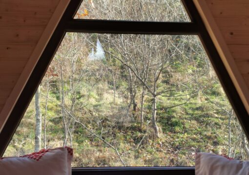 Căsuța dintre nuci